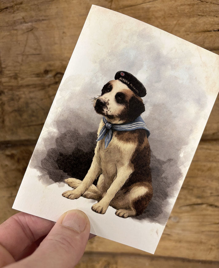 Card Bamse